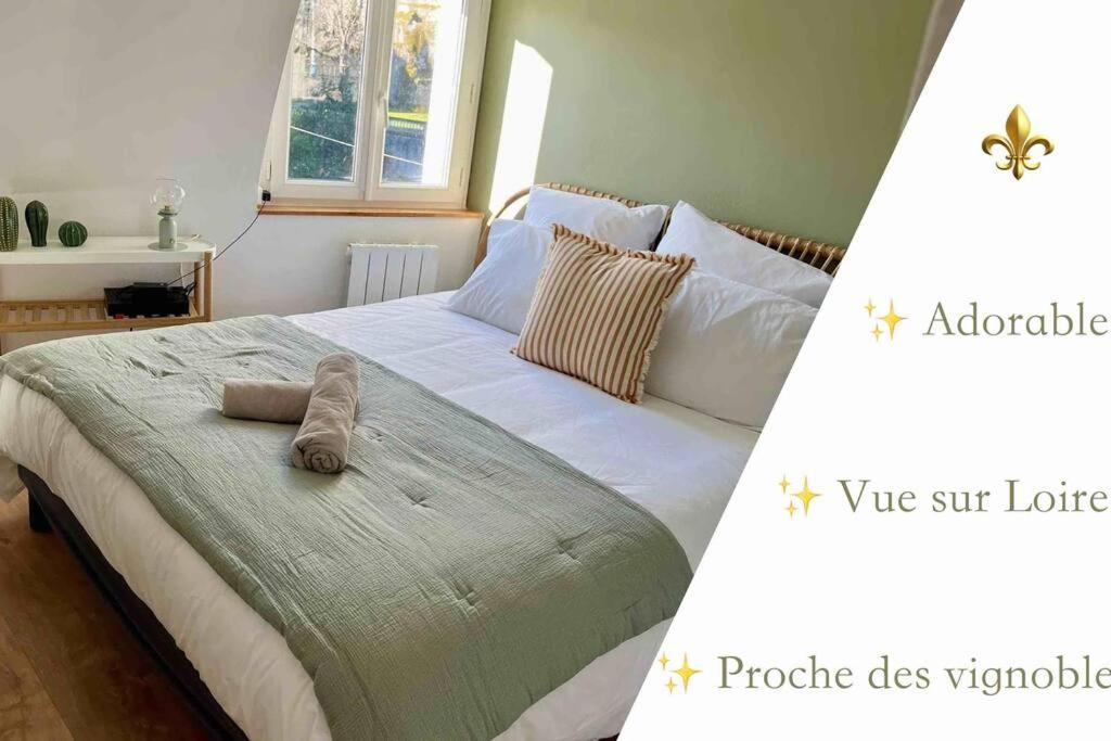 - Bouchon De Loire Apartment Rochecorbon